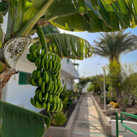 Beautiful Apartment Aguycan Beach 120 Playa Del Aguila Maspalomas  Exterior photo