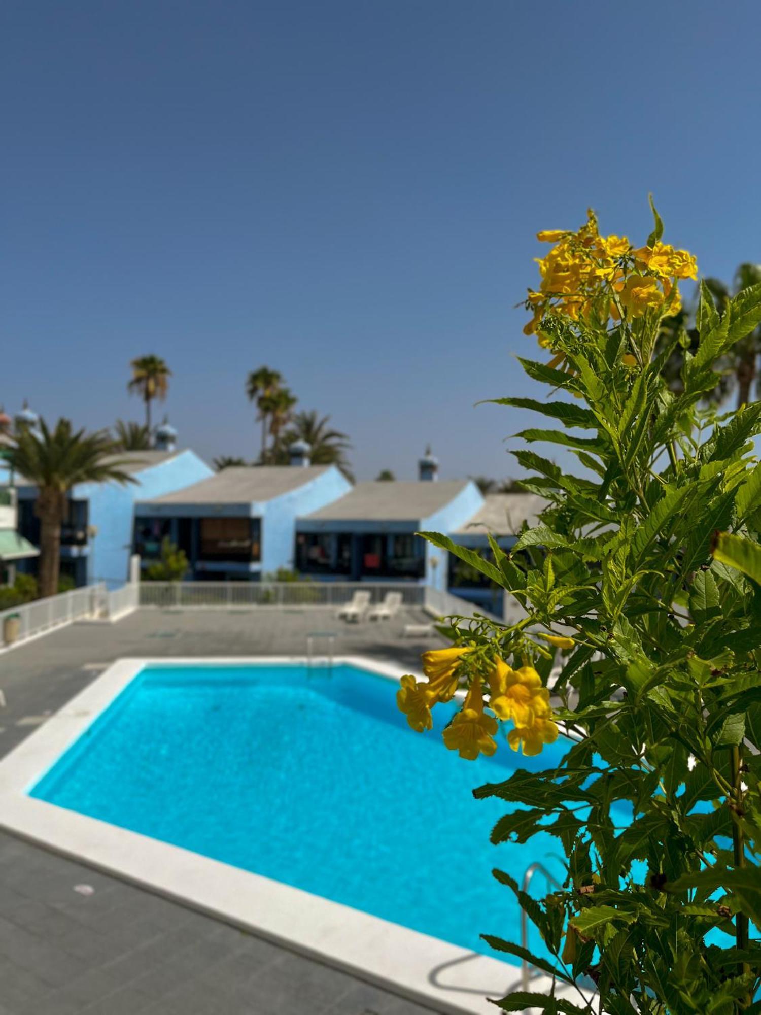 Beautiful Apartment Aguycan Beach 120 Playa Del Aguila Maspalomas  Exterior photo