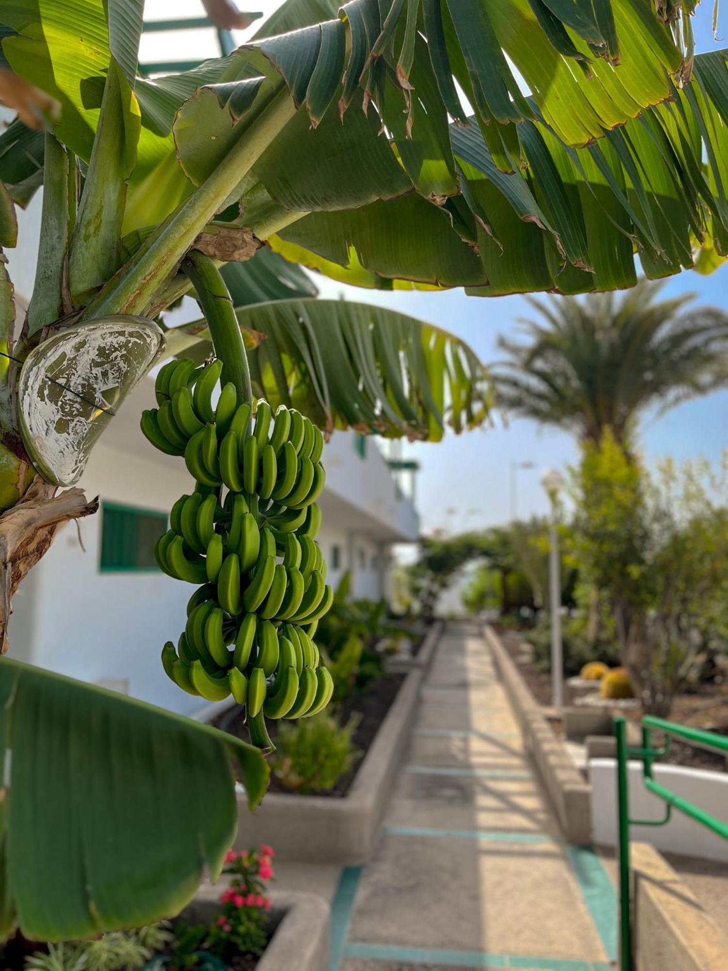 Beautiful Apartment Aguycan Beach 120 Playa Del Aguila Maspalomas  Exterior photo
